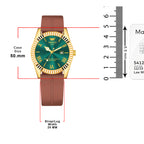 ABREXO, TYCOON Series Date Working Analog Watch For Men (Quartz, Magnet Strap, Green, Gold)