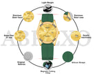 ABREXO, TYCOON Series Date Working Analog Watch For Men (Quartz, Magnet Strap, Green, Gold)